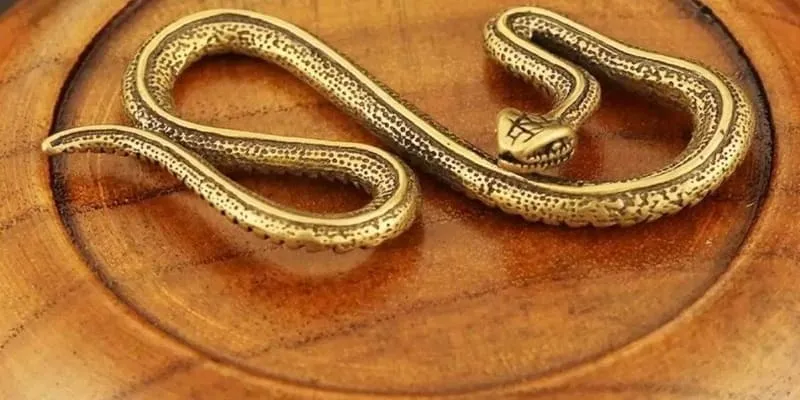 Mơ thấy rắn là điềm gì